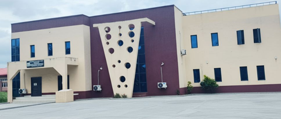 Constructed Library at Federal Polytechnic, Ilaro, Yewa South.